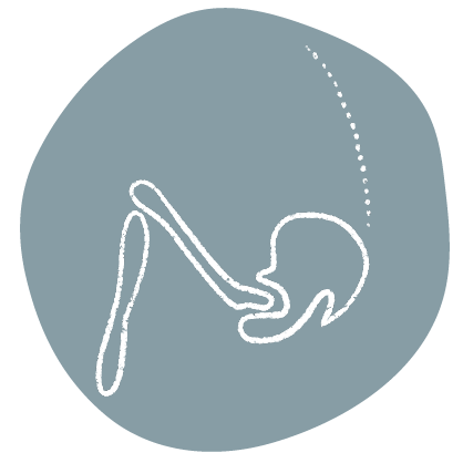 Icon featuring a hip and spine simplified anatomic illustration.
